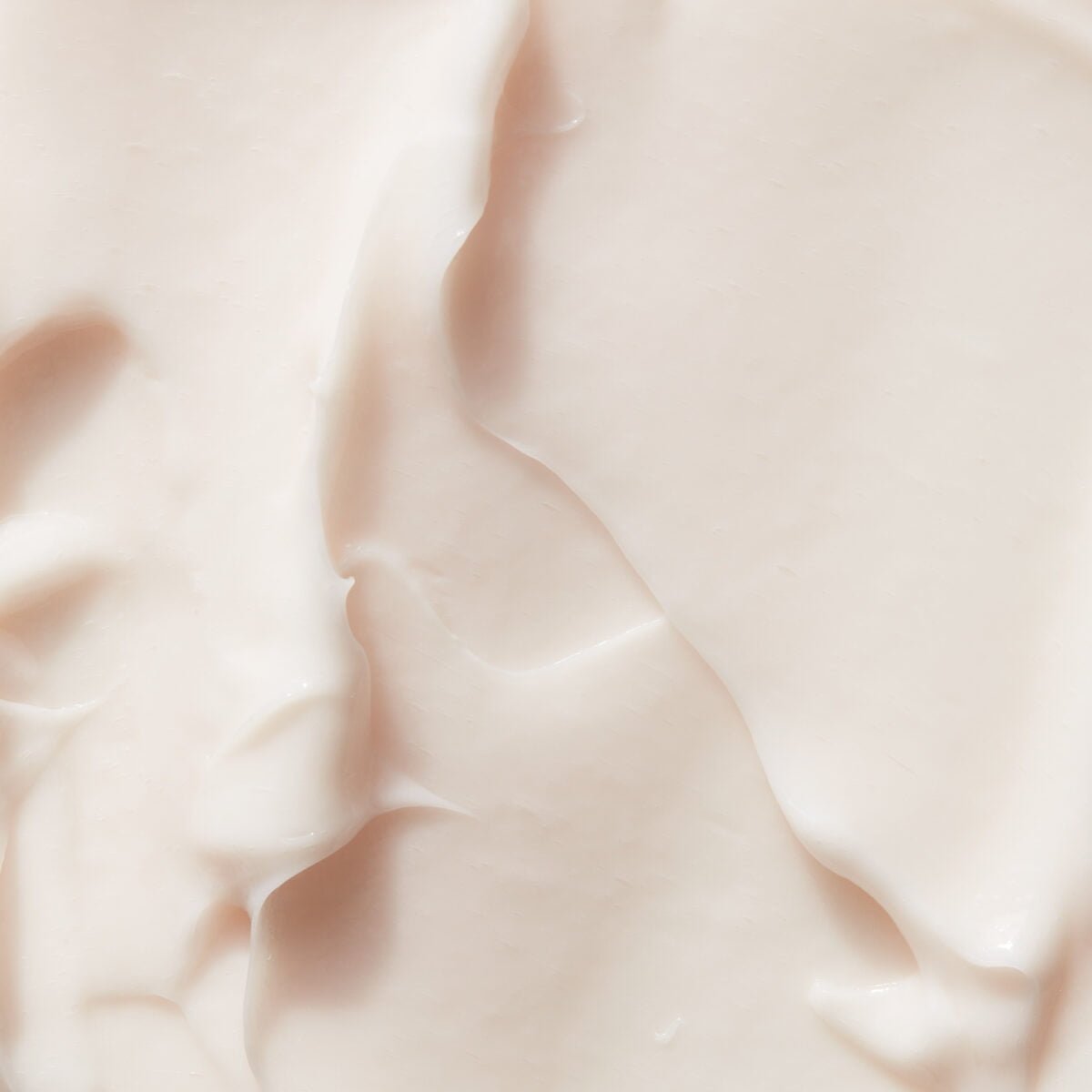 Evolve Hydrate & Protect face cream swatch Evolve Hydrate & Protect face cream swatch