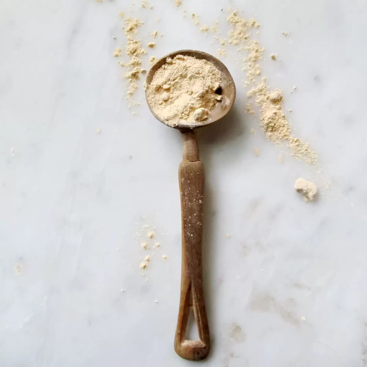 Protein Powder Anima Mundi