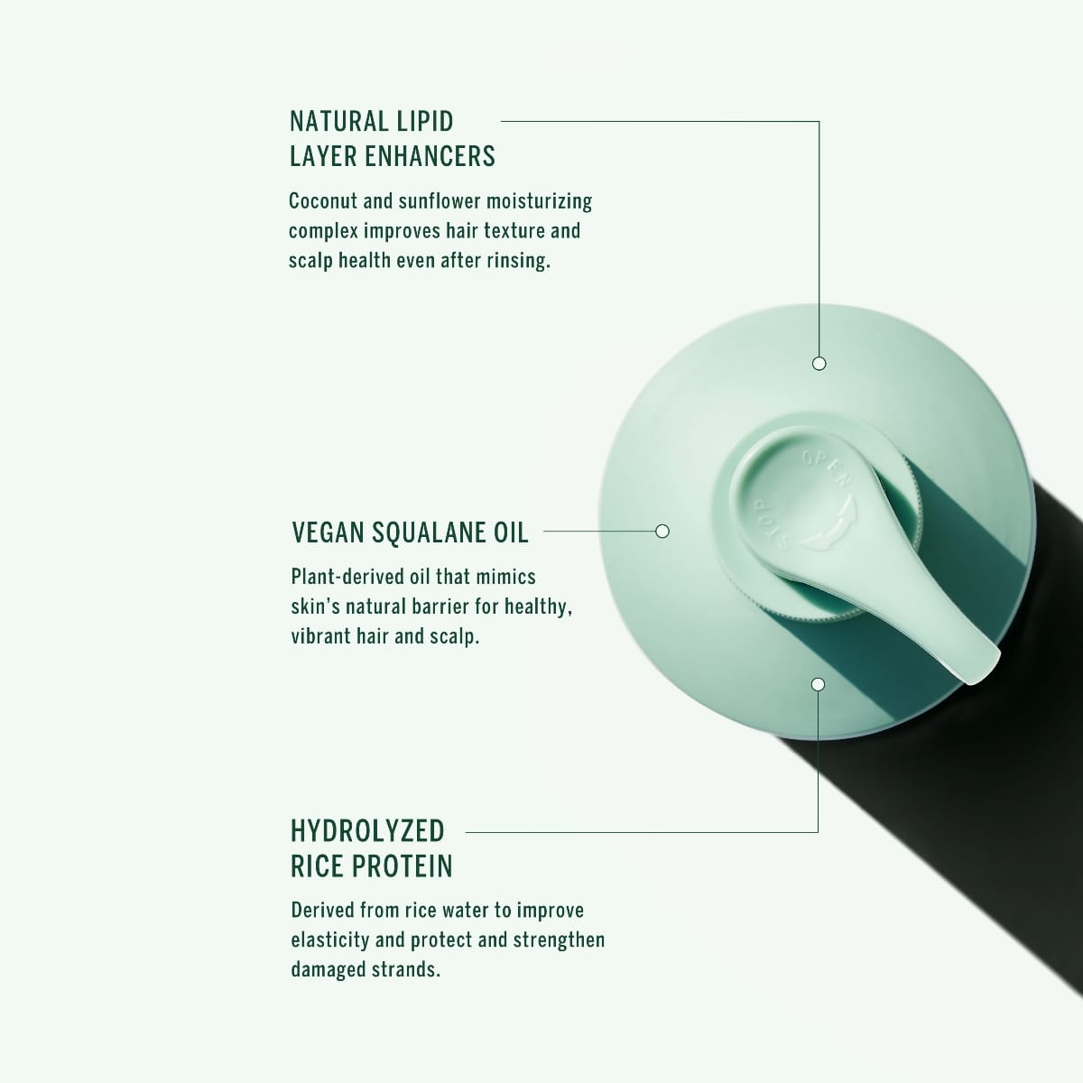 CORPUS_Shampoo_Selects_SQ