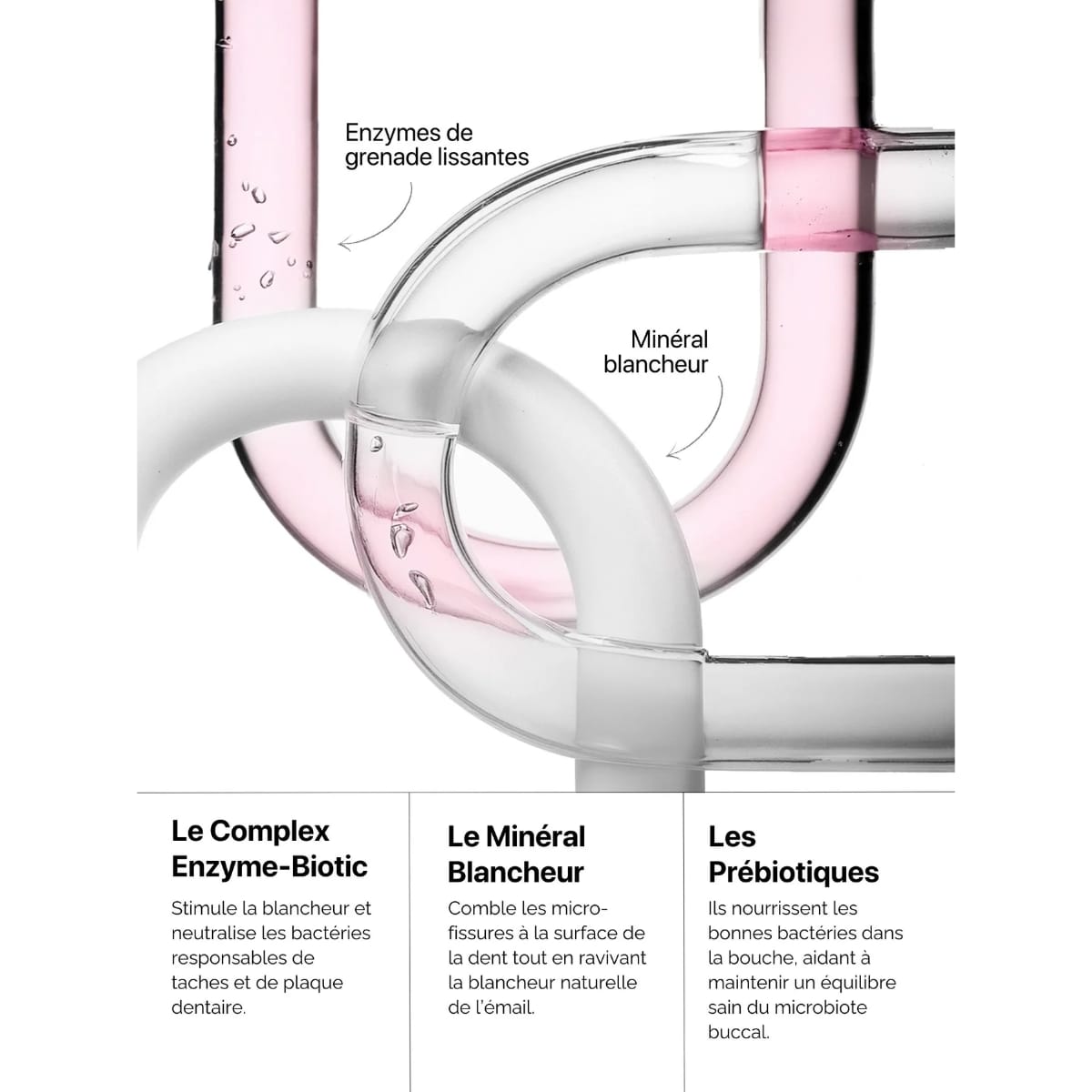 blancheur_The_Smilist